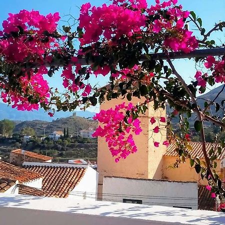 Casa Caballito De Mar Boutique B&B Bédar Exteriér fotografie