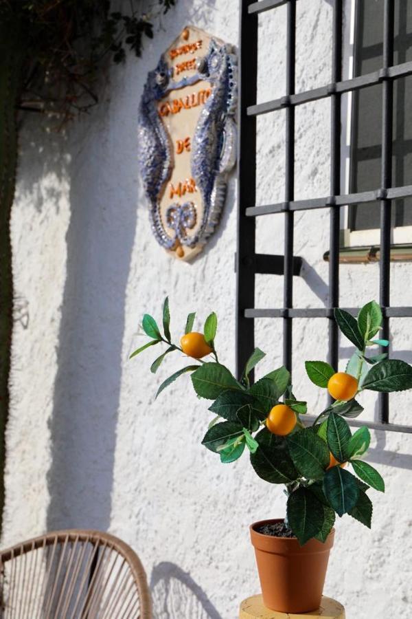 Casa Caballito De Mar Boutique B&B Bédar Exteriér fotografie