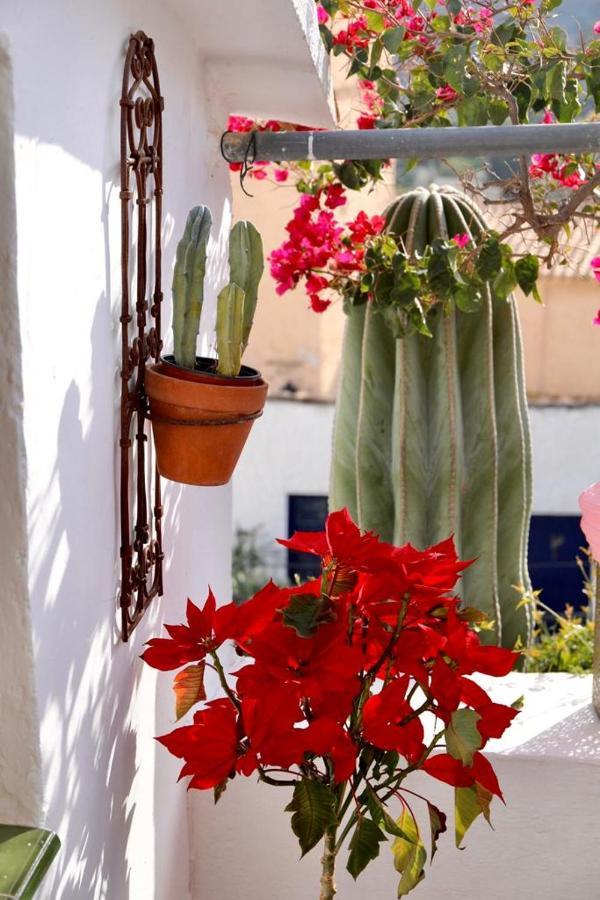 Casa Caballito De Mar Boutique B&B Bédar Exteriér fotografie