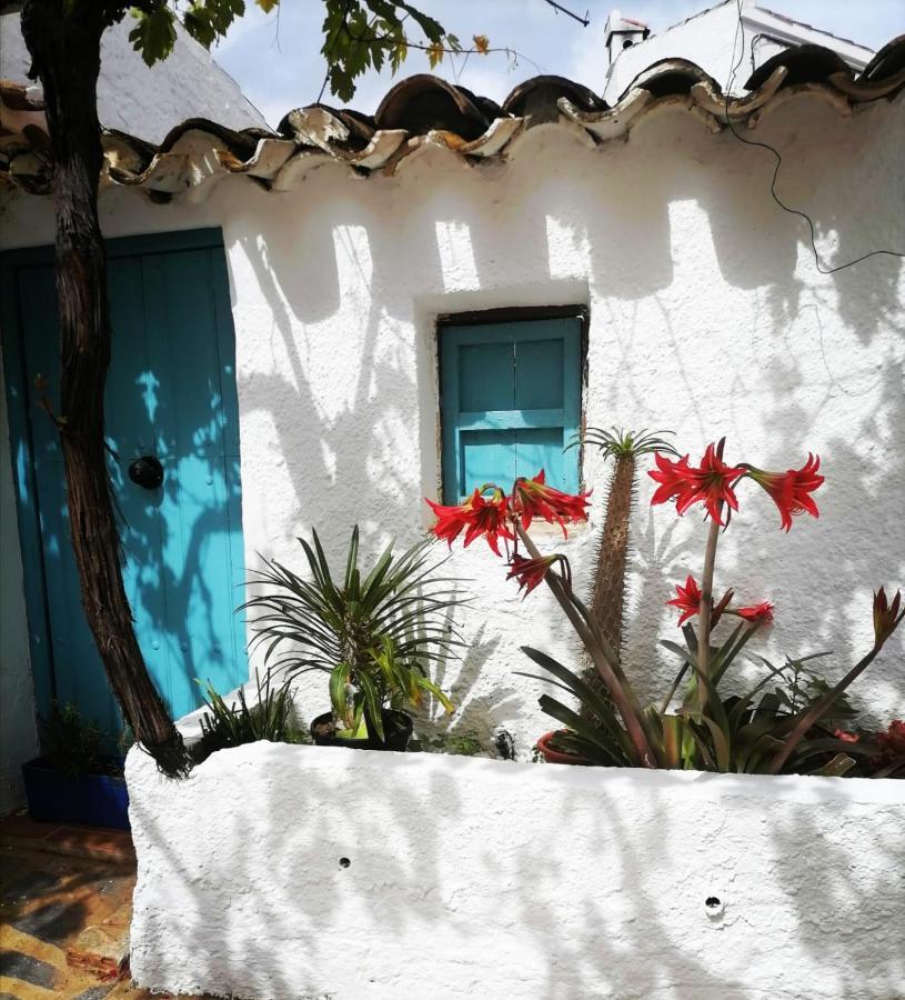 Casa Caballito De Mar Boutique B&B Bédar Exteriér fotografie