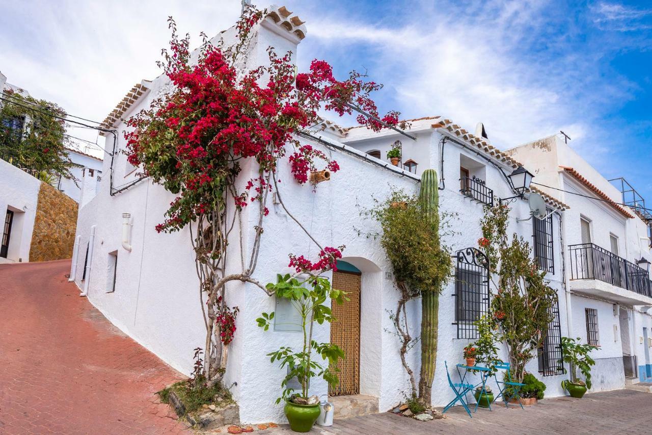 Casa Caballito De Mar Boutique B&B Bédar Exteriér fotografie