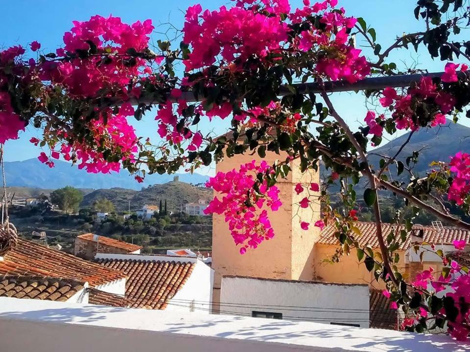 Casa Caballito De Mar Boutique B&B Bédar Exteriér fotografie